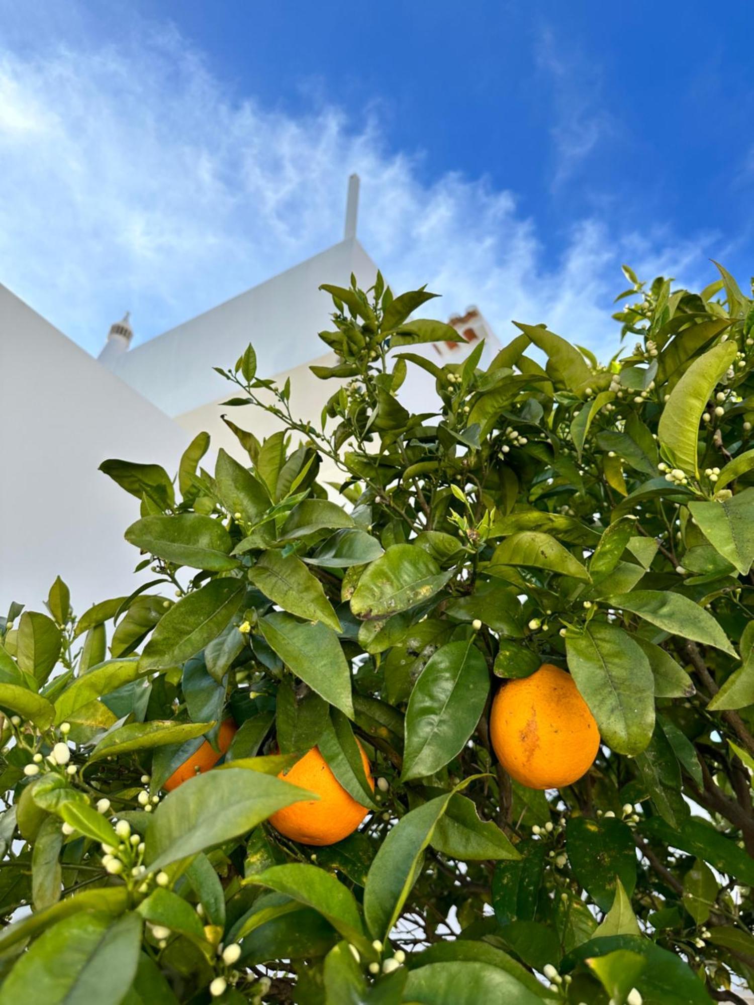 Casa Malia Luxury Guest House Praia Da Luz Bagian luar foto